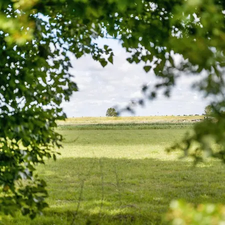 Ferienhaeuser Ella Walter - Efeuhaus *
