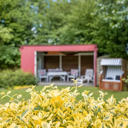 アパート Ferienhaeuser Ella Walter - Efeuhaus