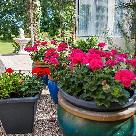 Ferienhaeuser Ella Walter - Efeuhaus アパート *