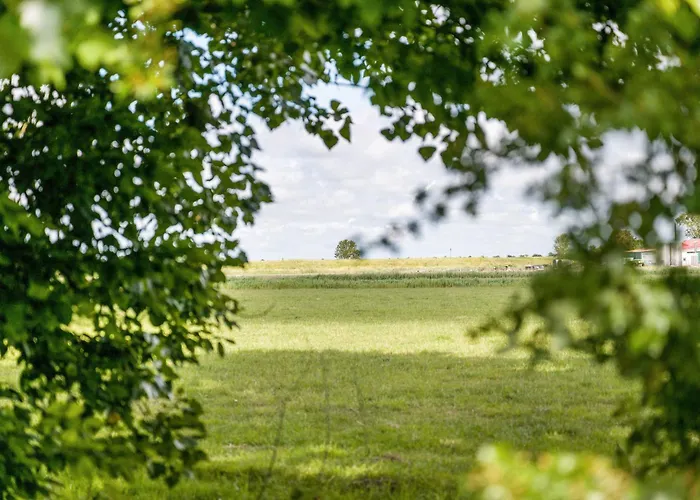 Ferienhaeuser Ella Walter - Efeuhaus *
